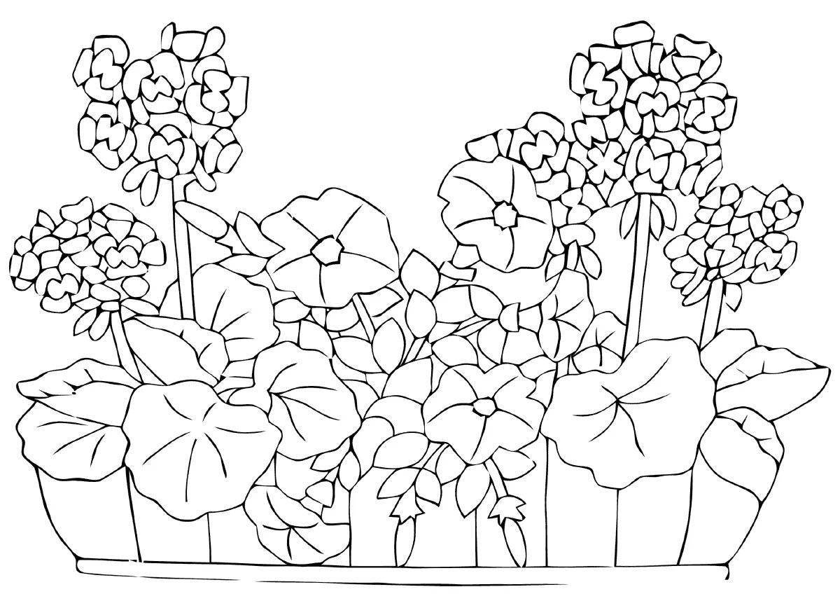 Amazing flowerbed coloring book