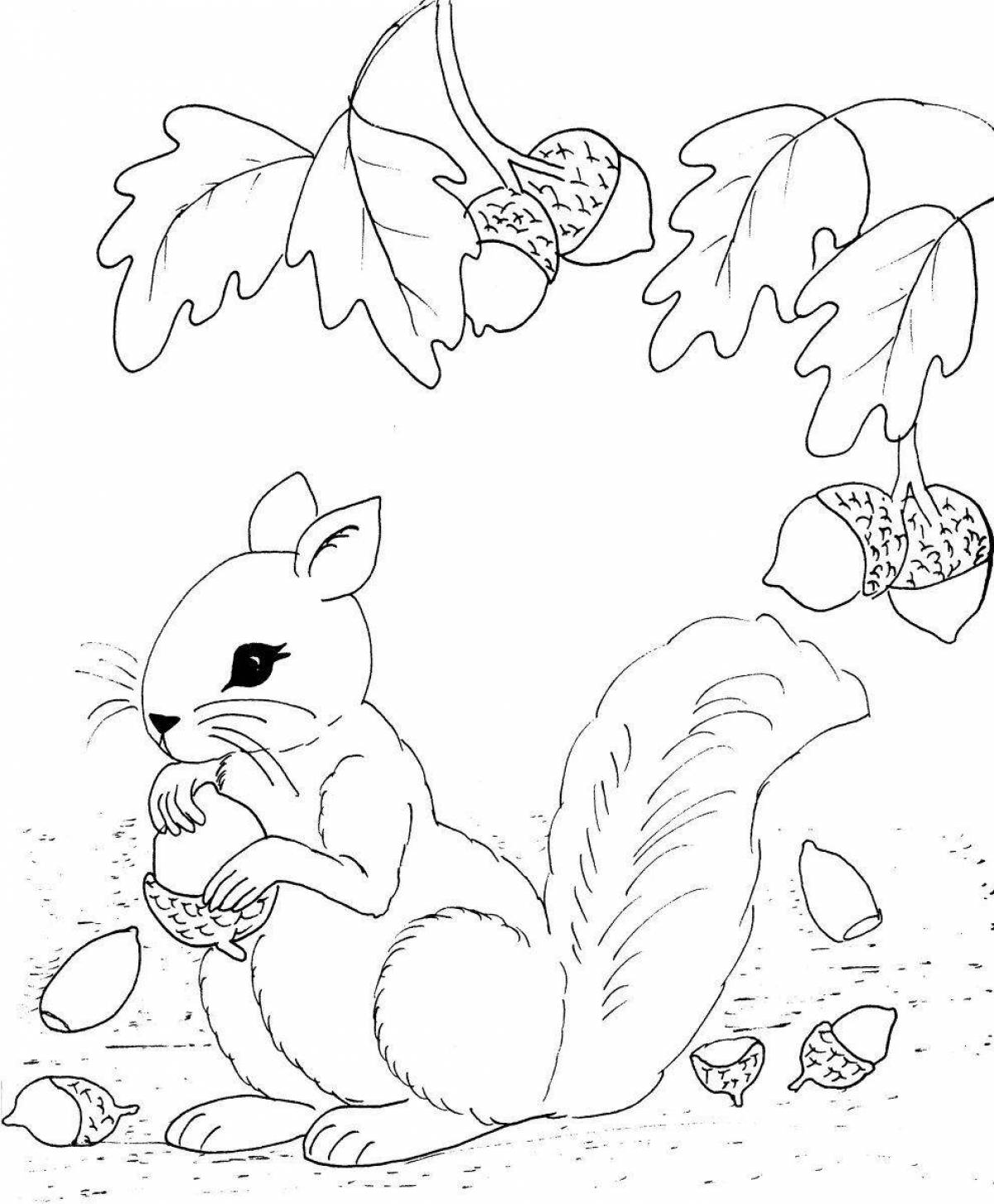 Adorable squirrel with nuts coloring book