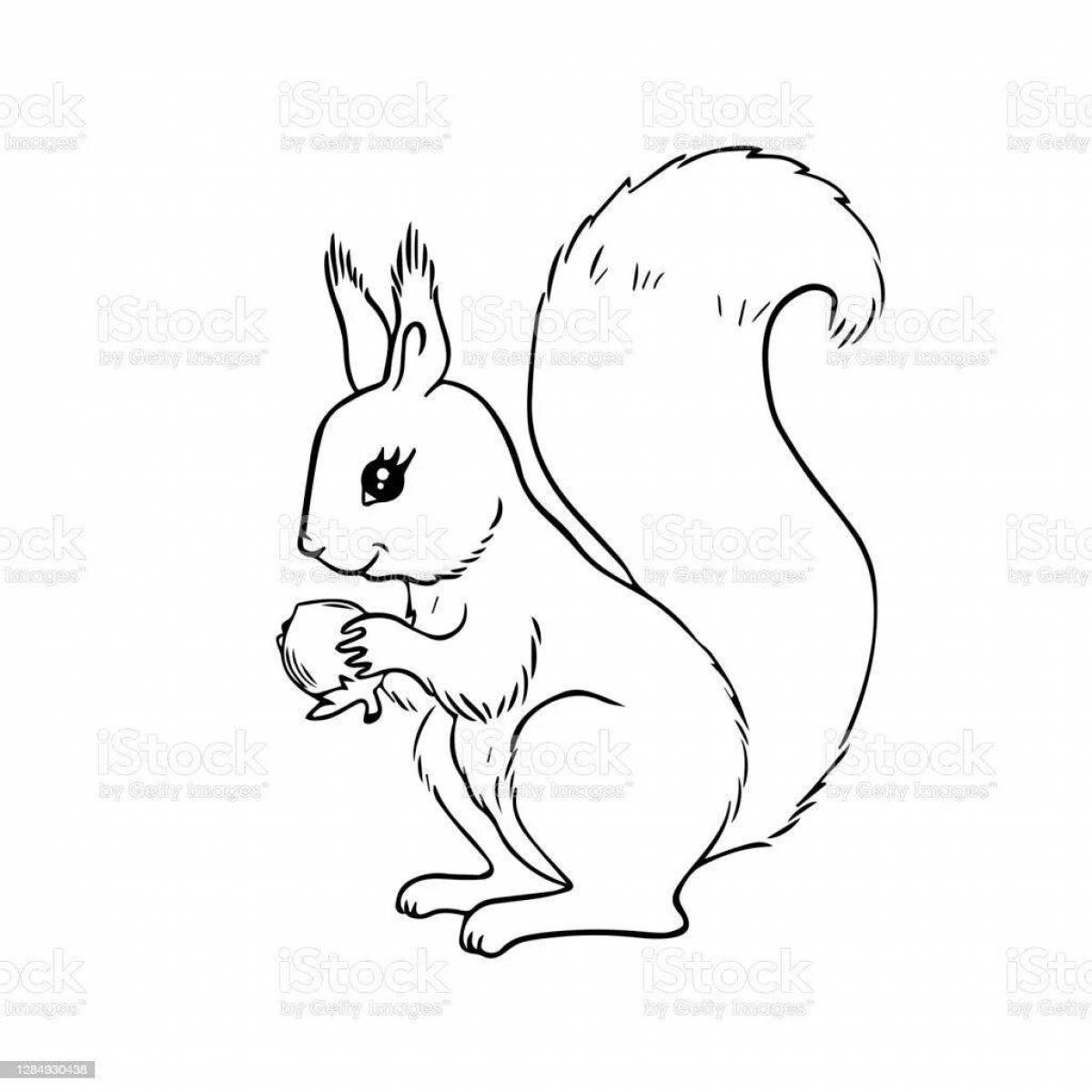 Animated coloring of a squirrel with nuts