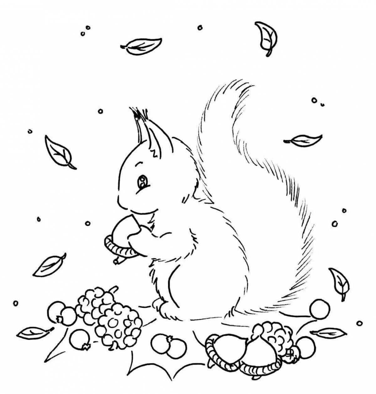 Fun coloring squirrel with nuts
