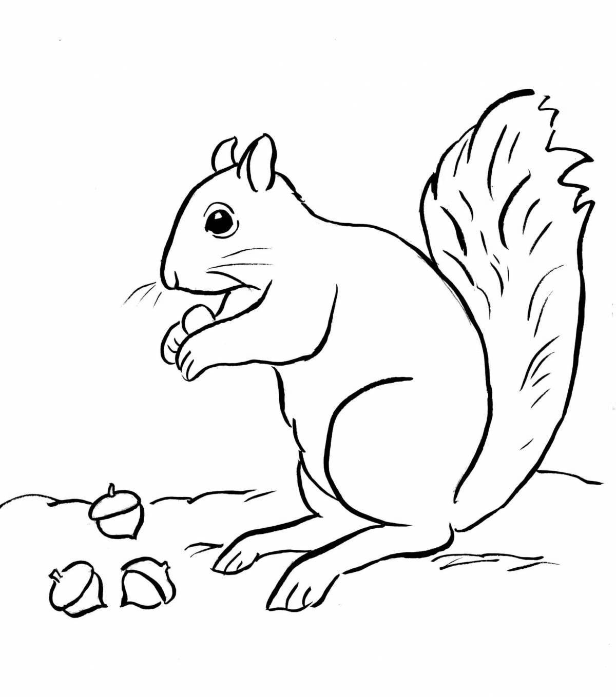 Delightful squirrel coloring with nuts
