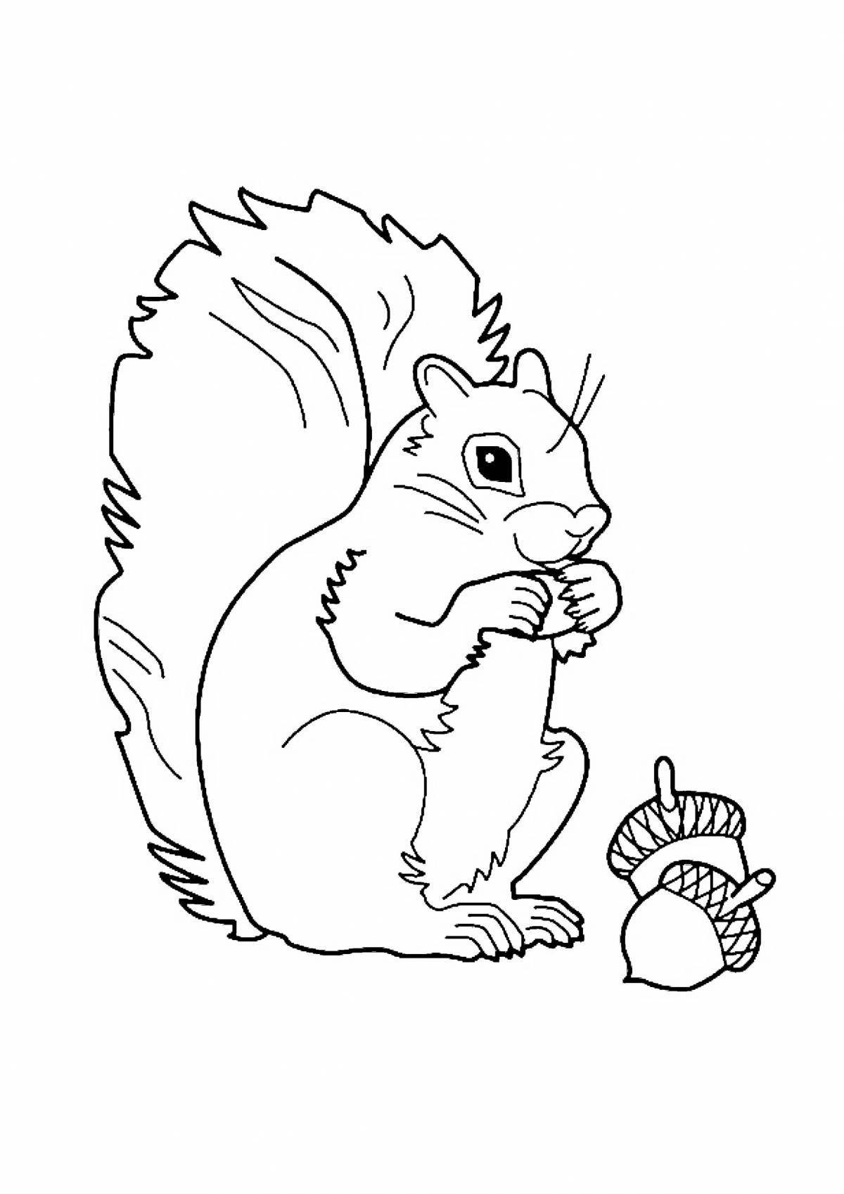 Charming coloring squirrel with nuts