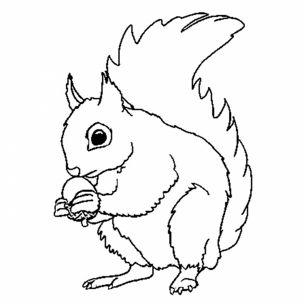 Witty squirrel with nuts coloring book