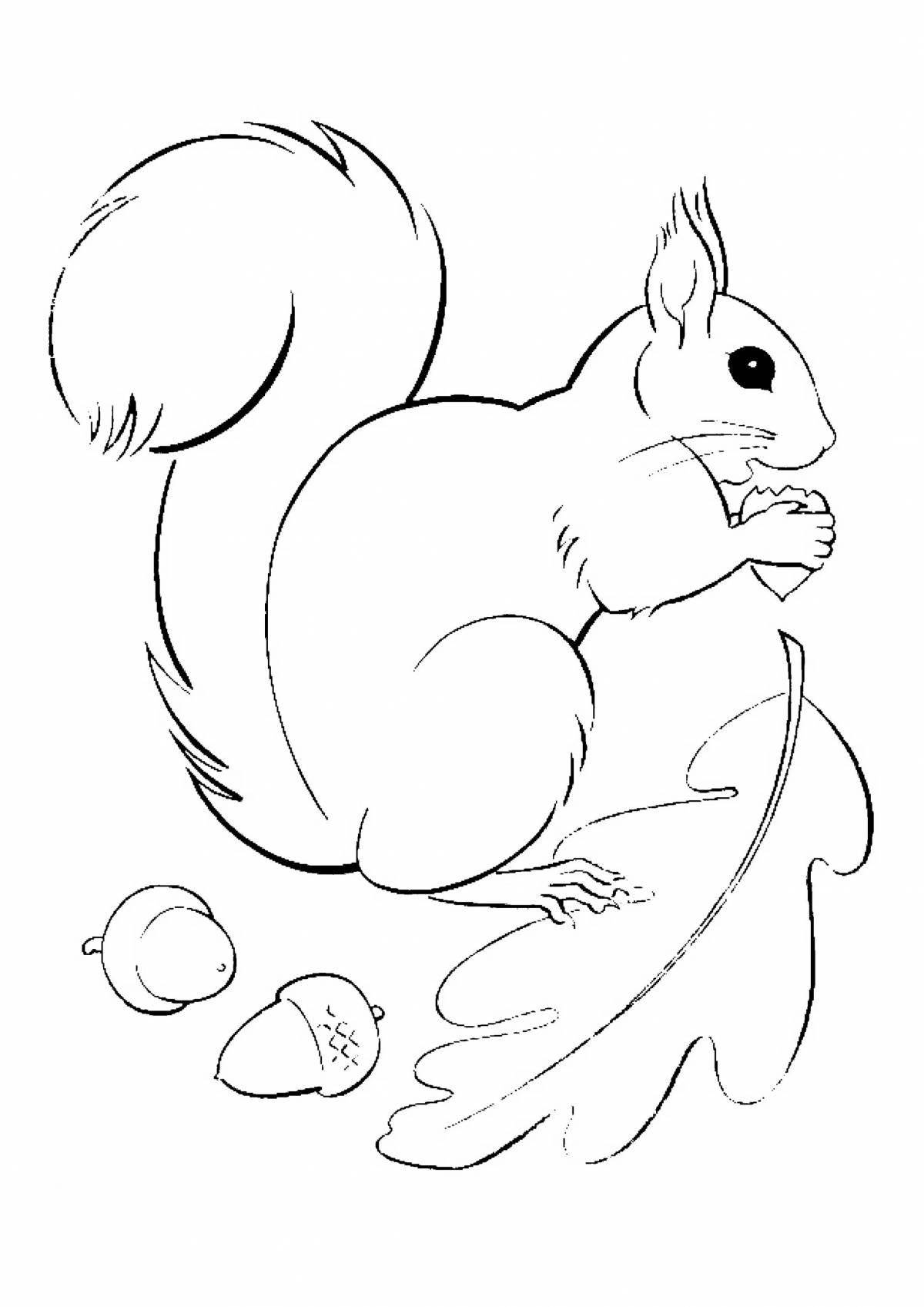 Delicate coloring of a squirrel with nuts