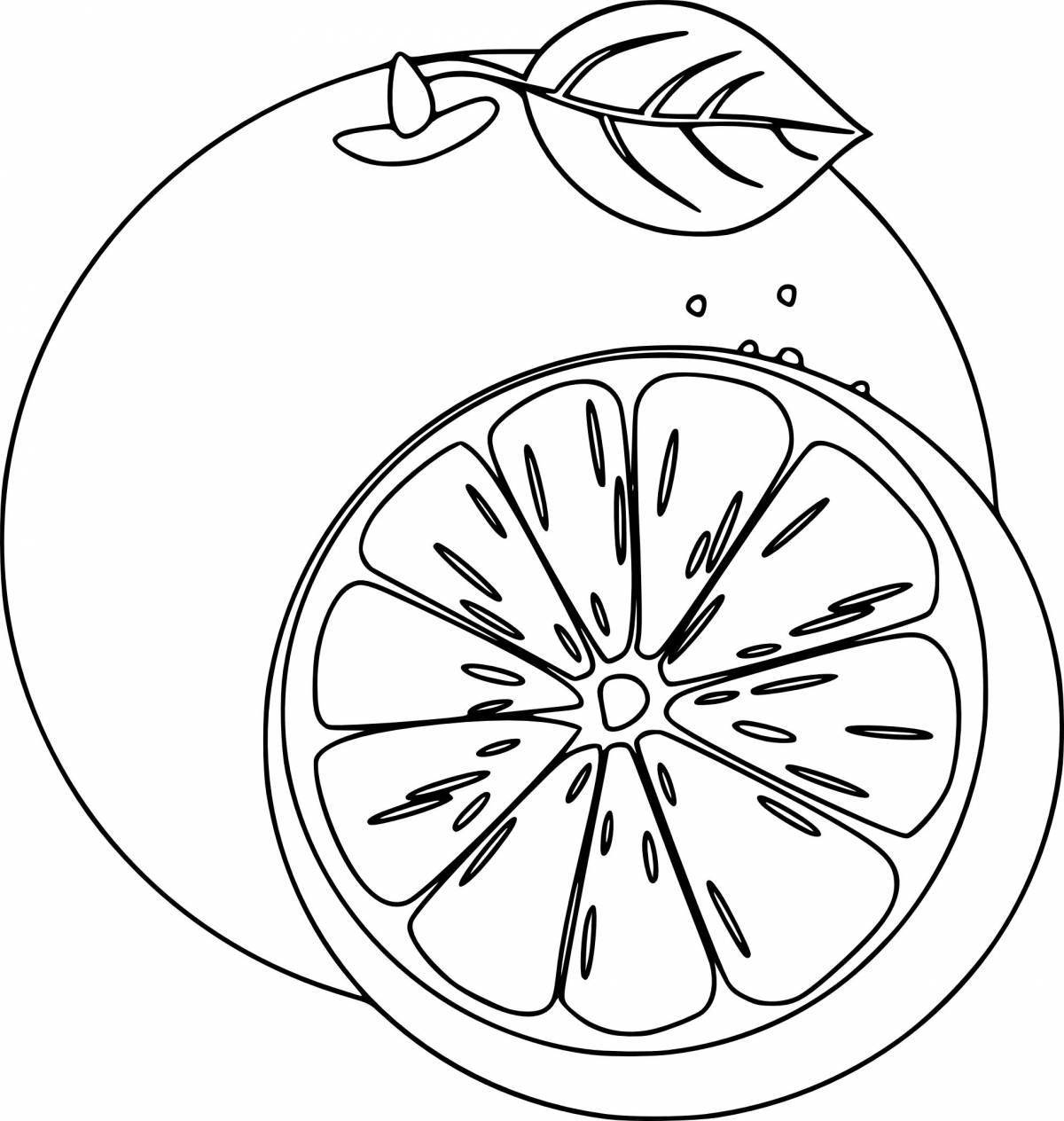 Sunny tangerines and oranges coloring page