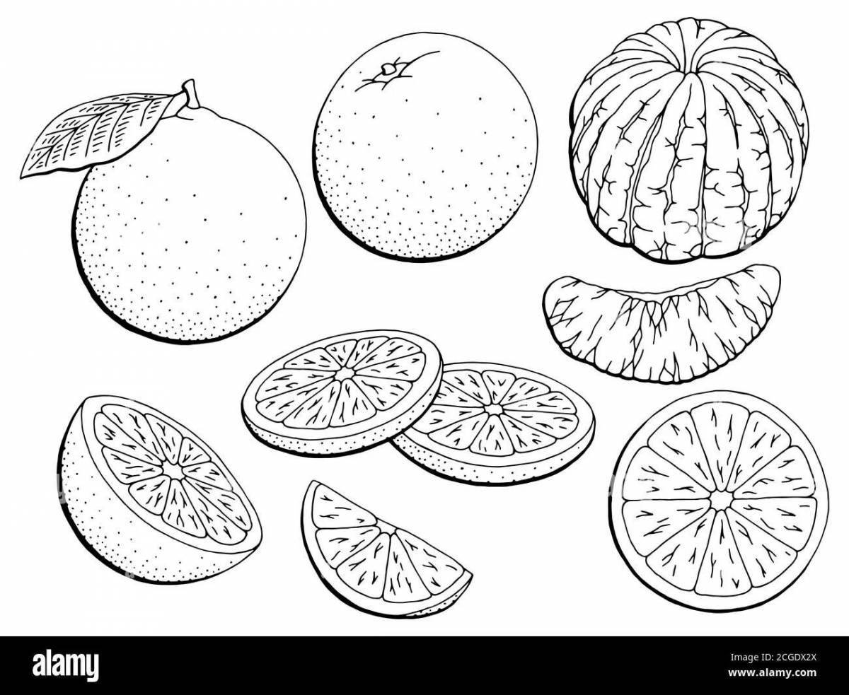 Colored tangerines and oranges coloring book
