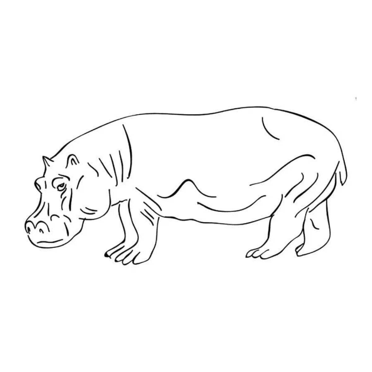 Major coloring pages animals of warm countries