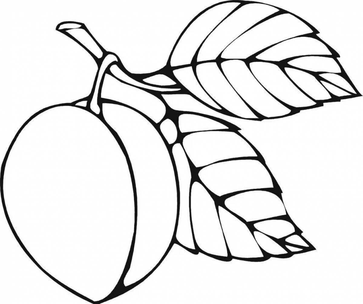Colorful apricot coloring page for kids