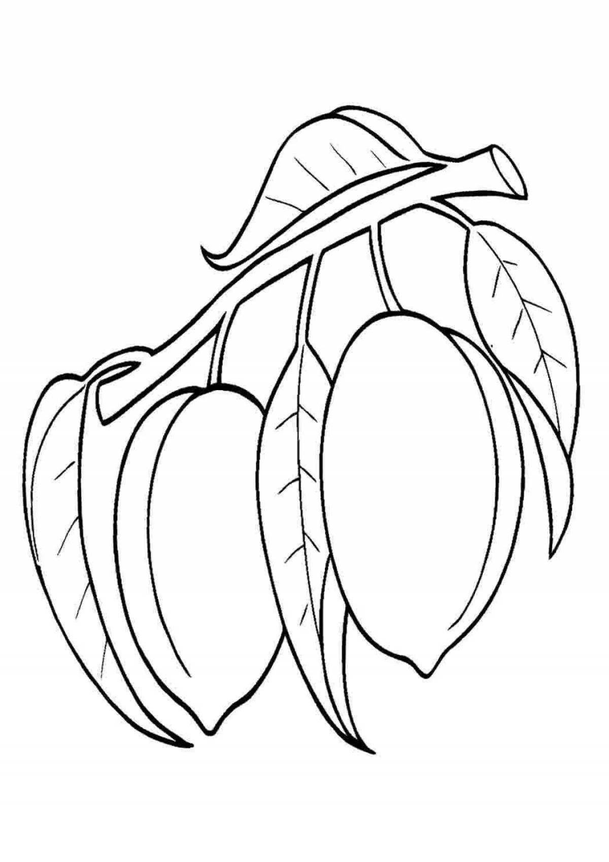 Funny apricot coloring pages for kids