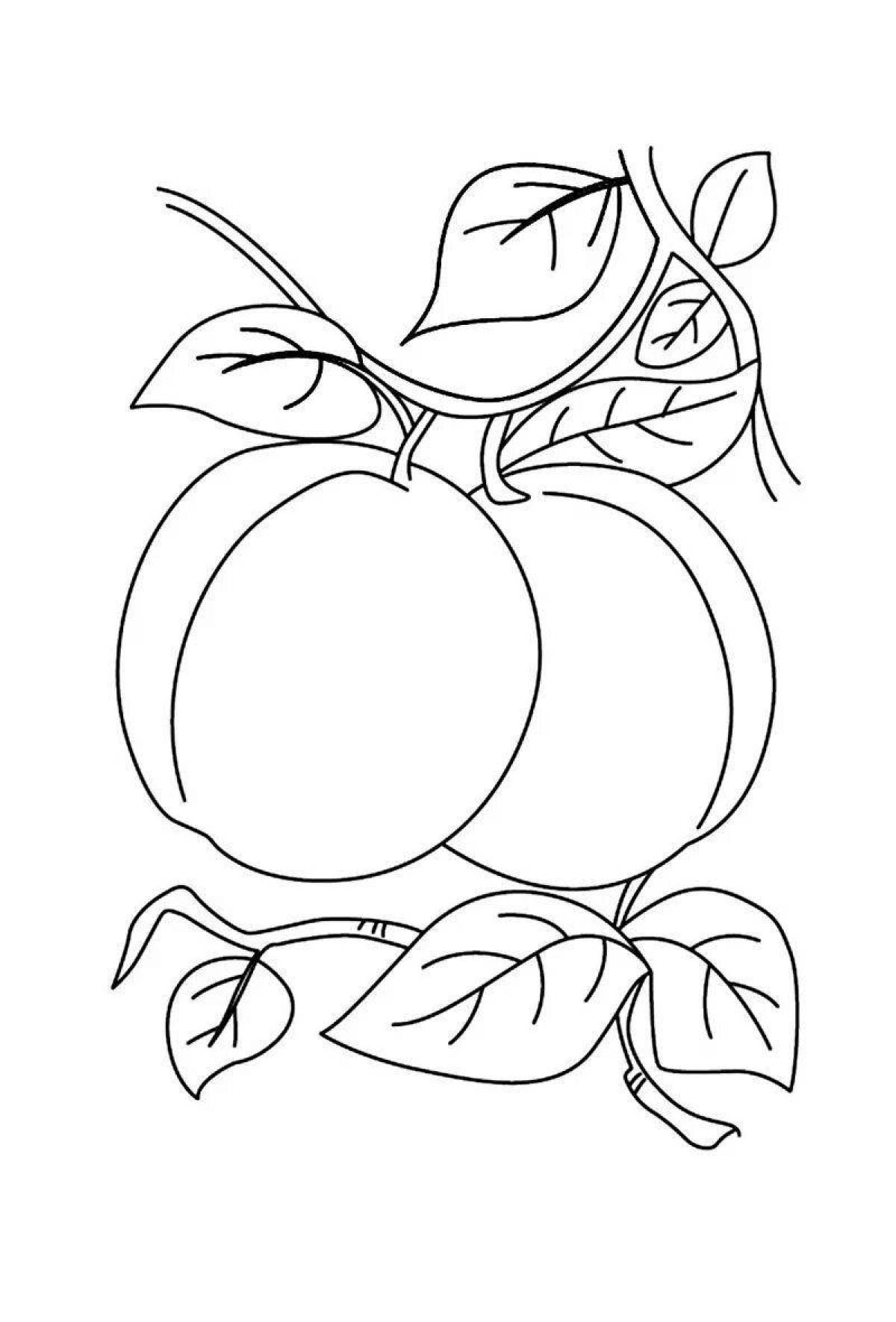 Apricot fun coloring for kids