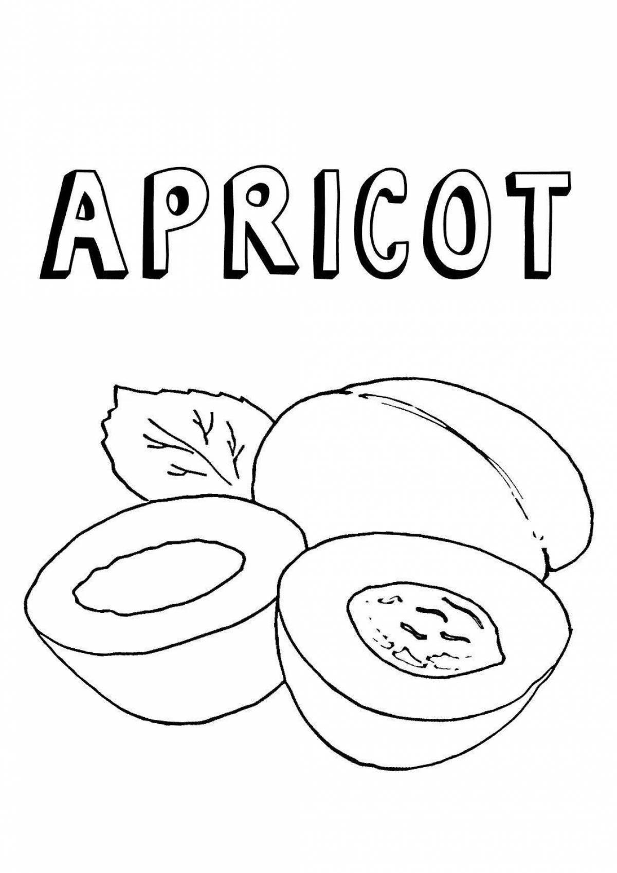 Cute apricot coloring book for kids