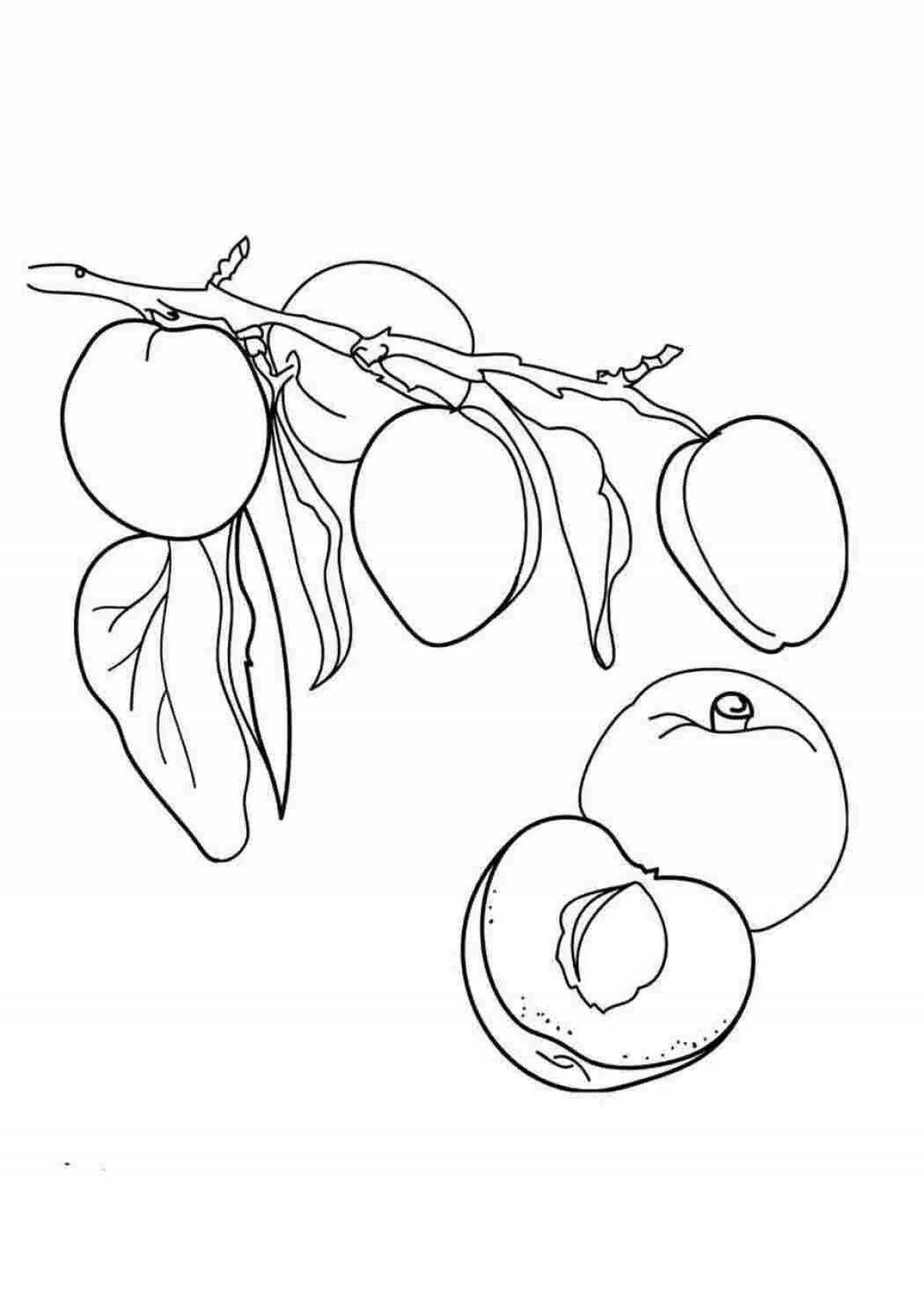 Attractive apricot coloring book for kids