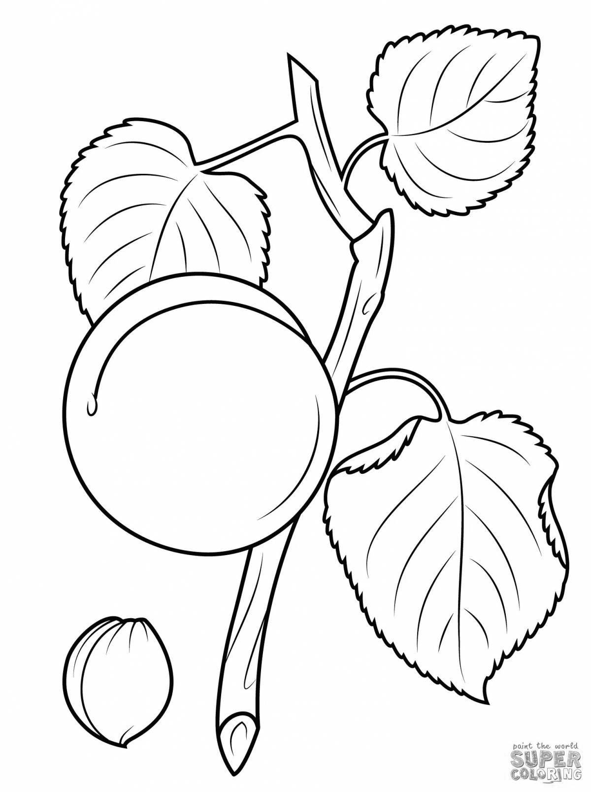 Outstanding apricot coloring book for kids
