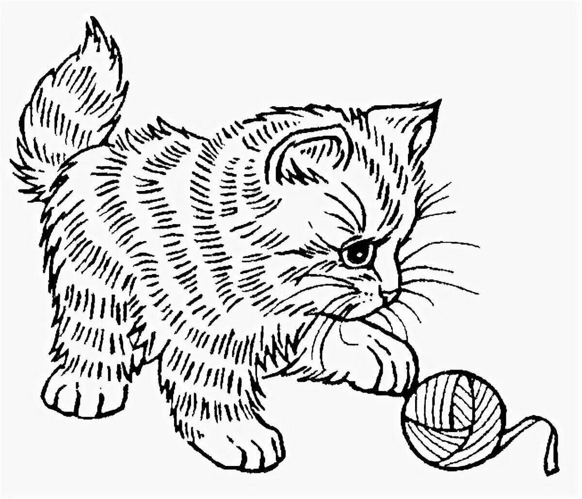Раскраска яркий кот с мячиком