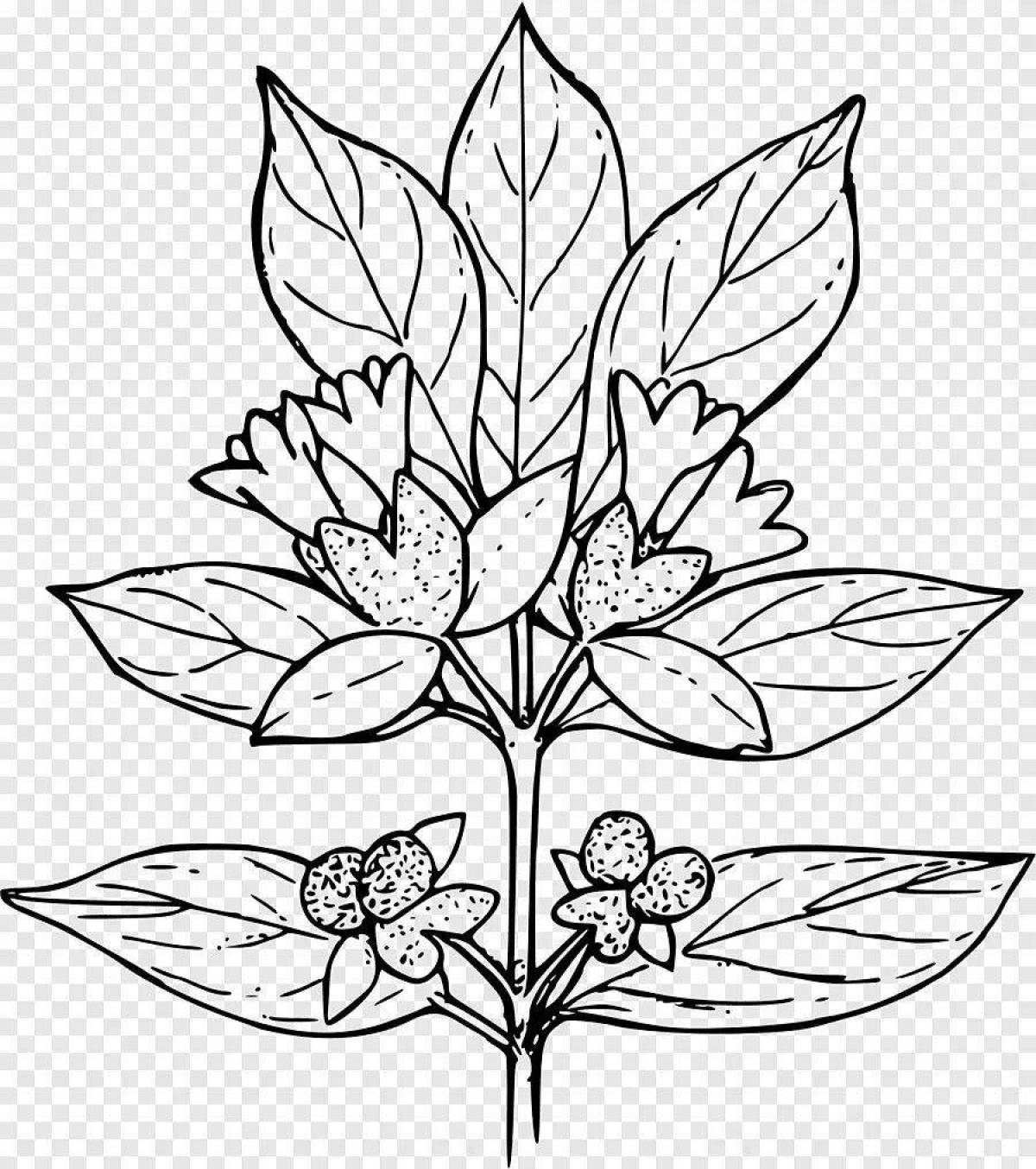 Grand coloring page wolf and bast plant
