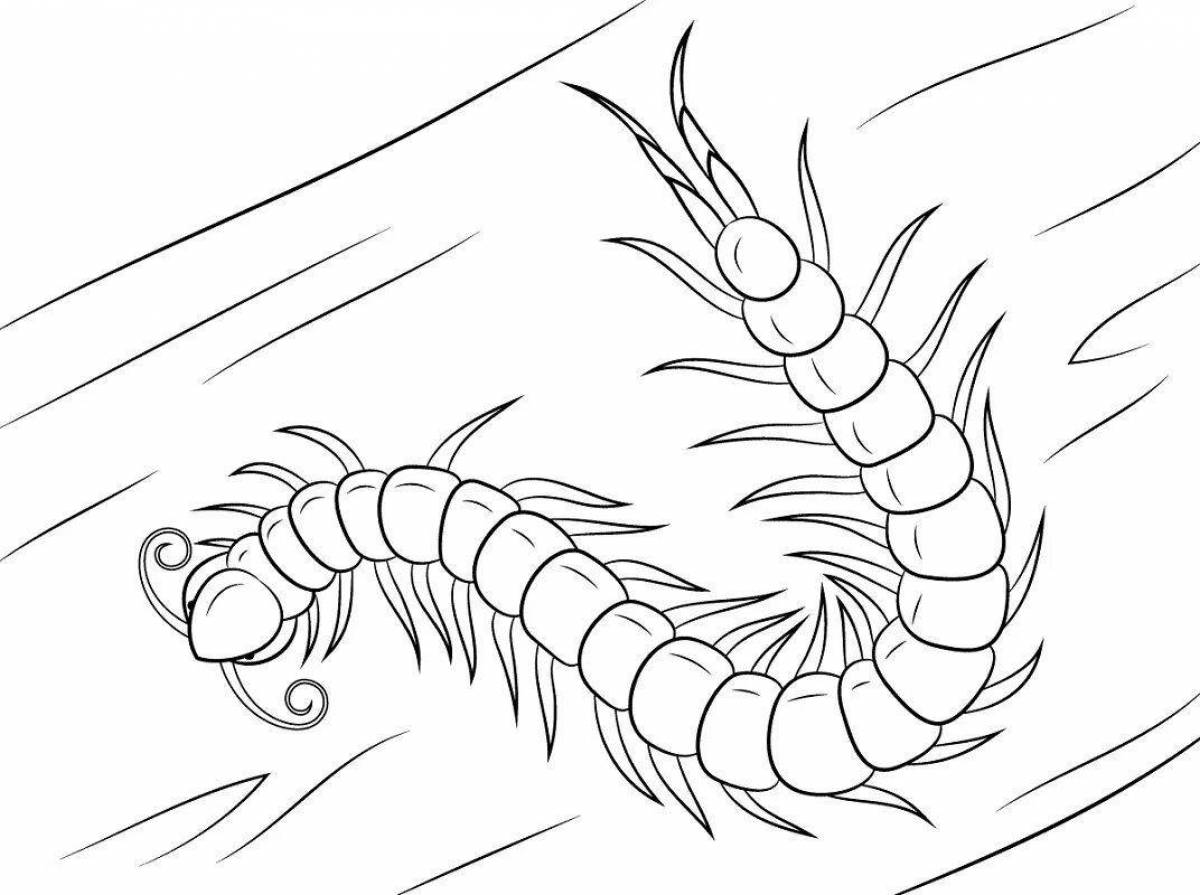 Joyful centipede coloring book for kids