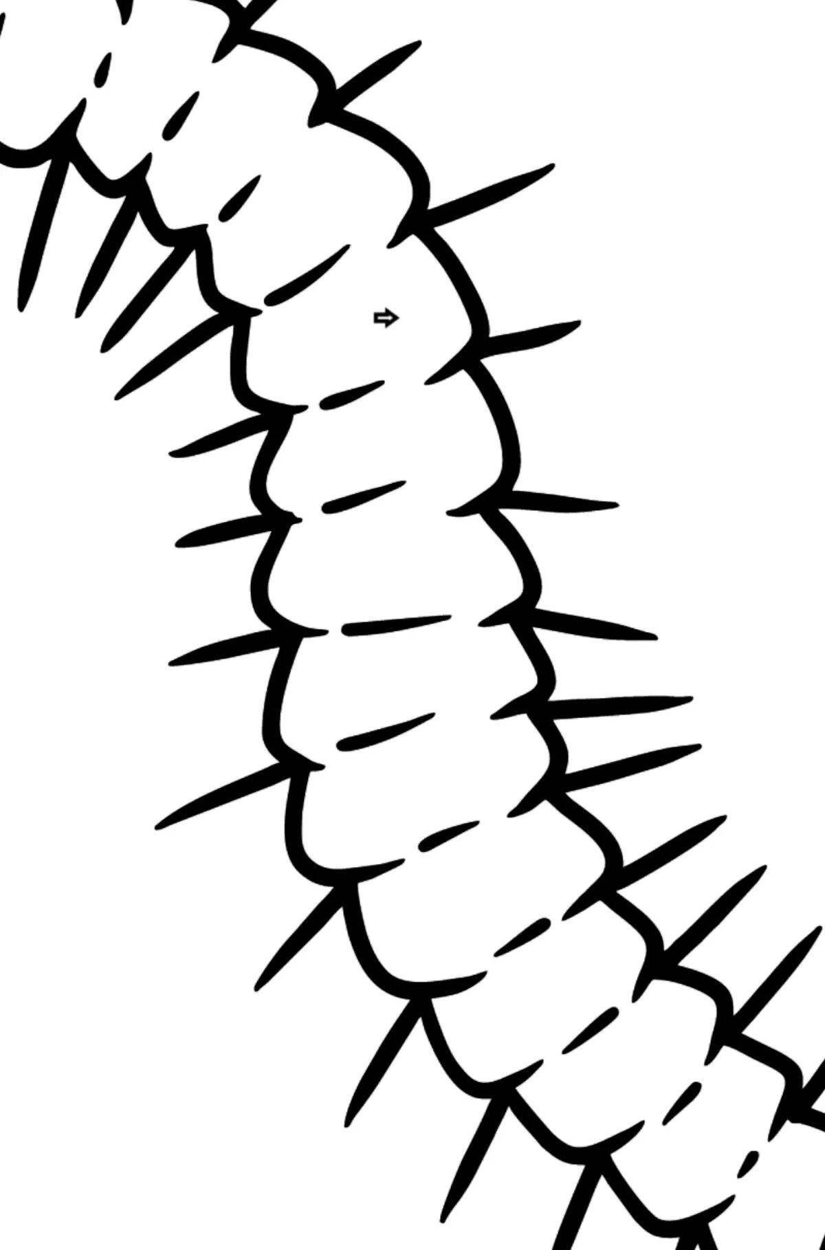 Centipede fun coloring book for kids