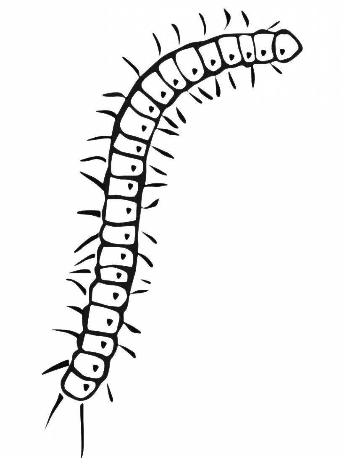 Animated centipede coloring page for kids