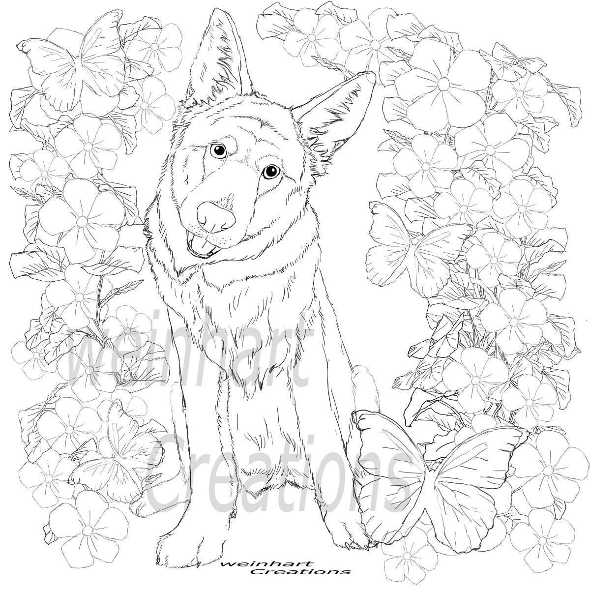 Раскраски Немецкие Овчарки - 69 фото