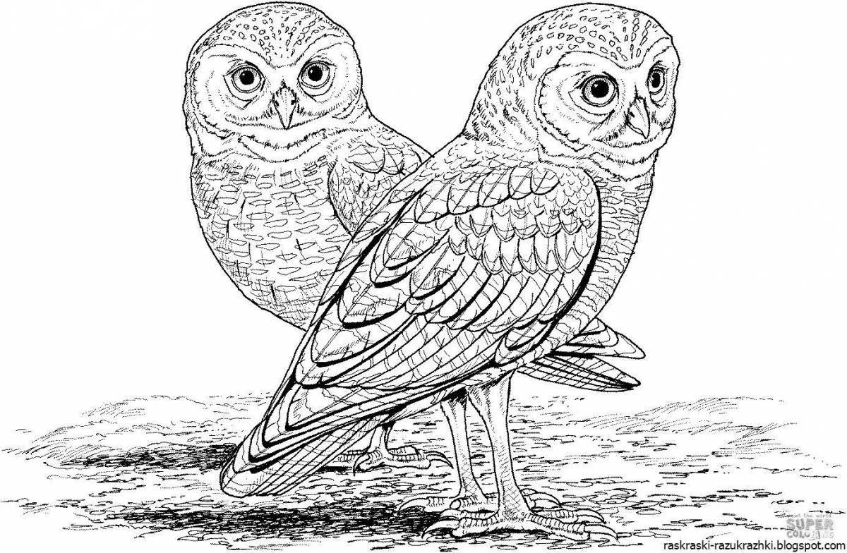 Fantastic baby owlet coloring page