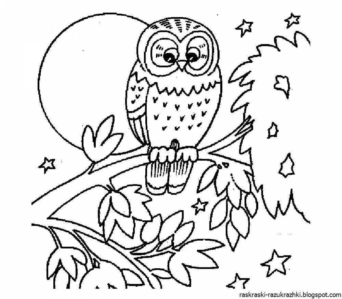 Fun owlet coloring book for kids