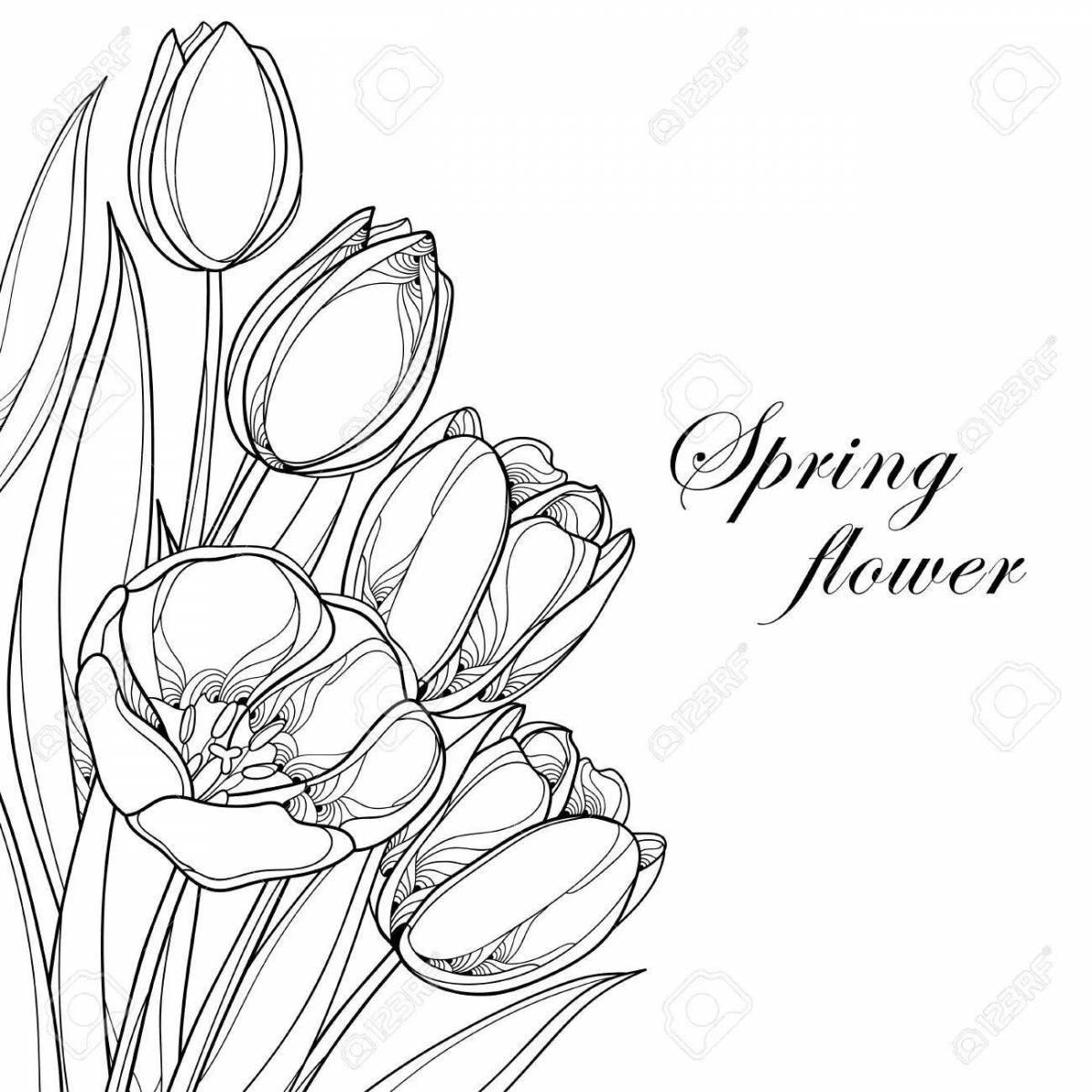 Amazing coloring pages tulips March 8