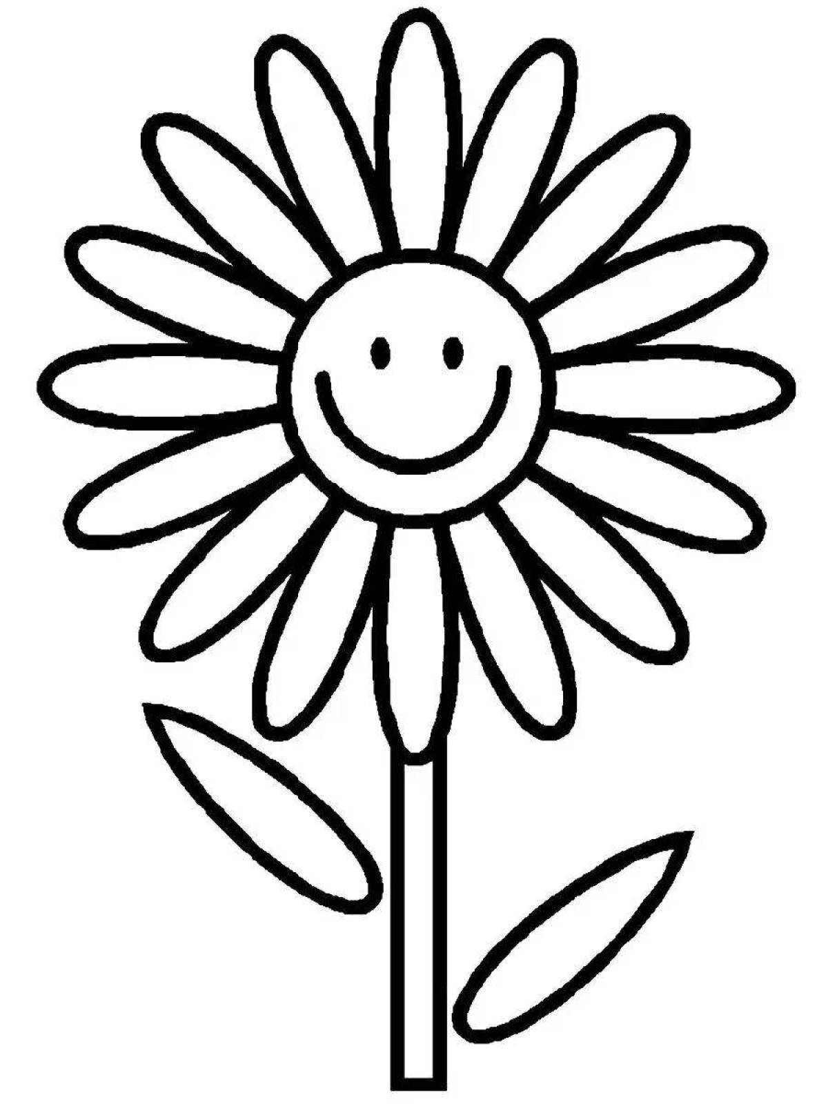Shining flower coloring book