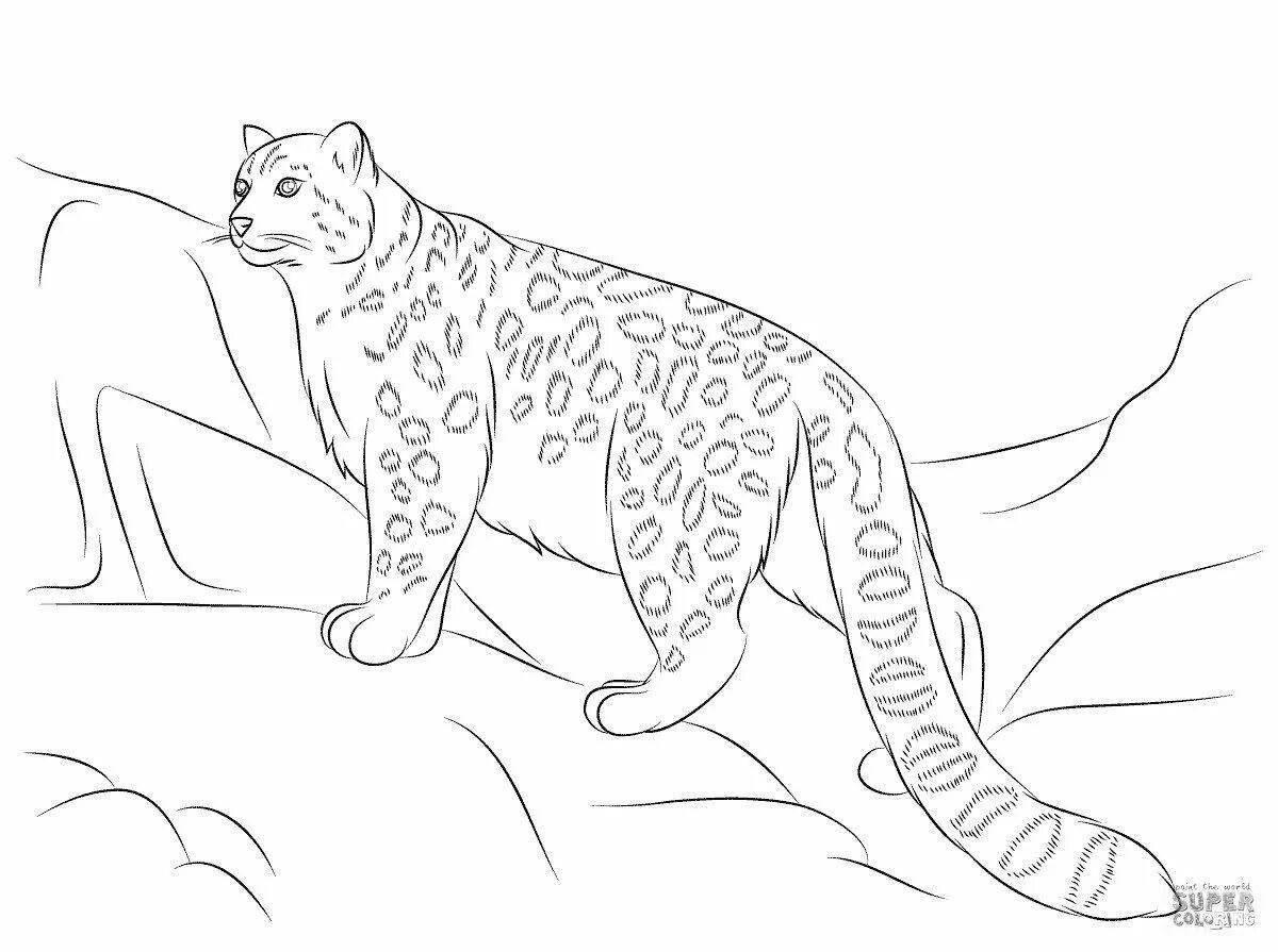Drawing snow leopard #2
