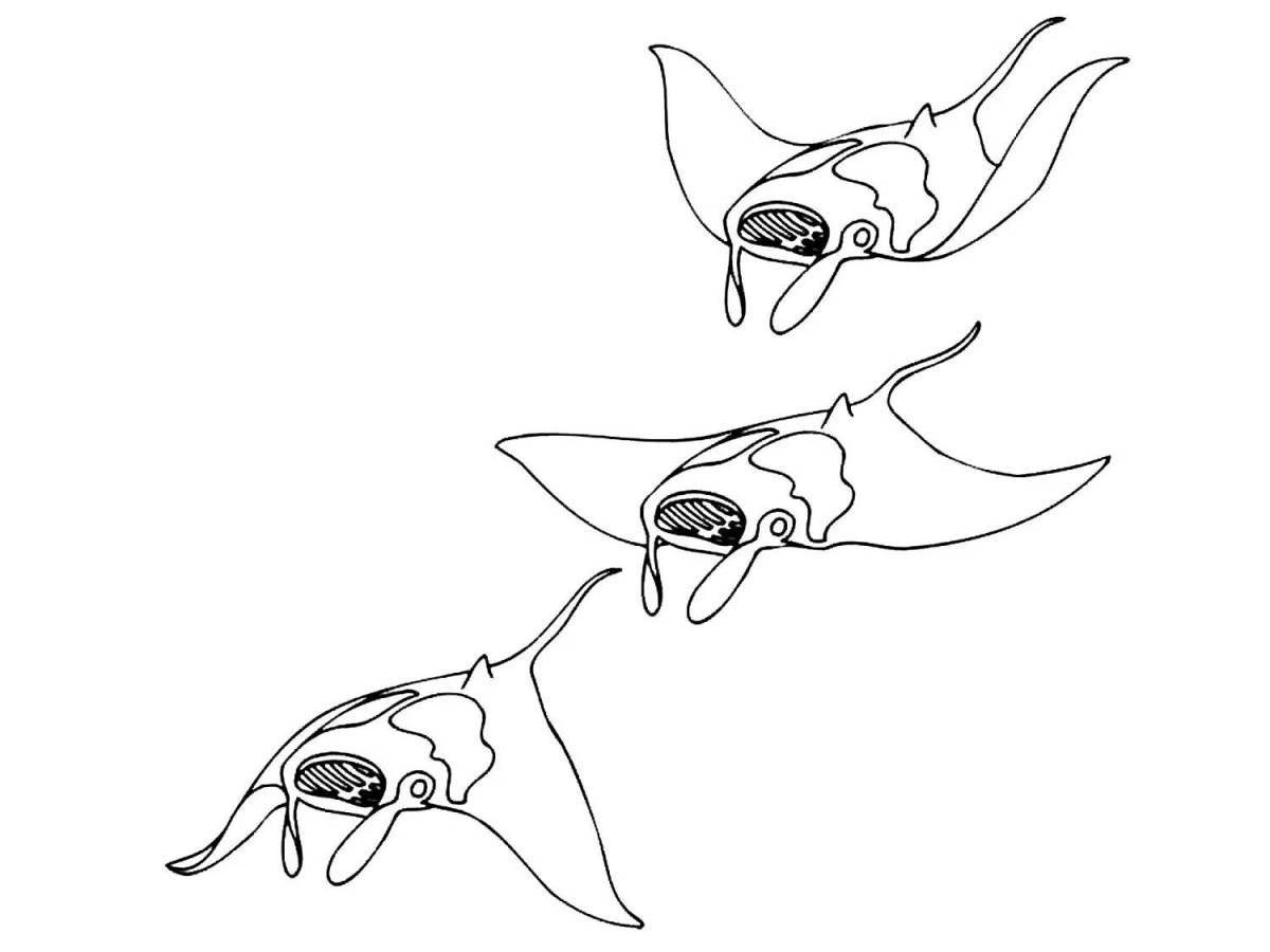 Photo Exquisite manta ayo all coloring page