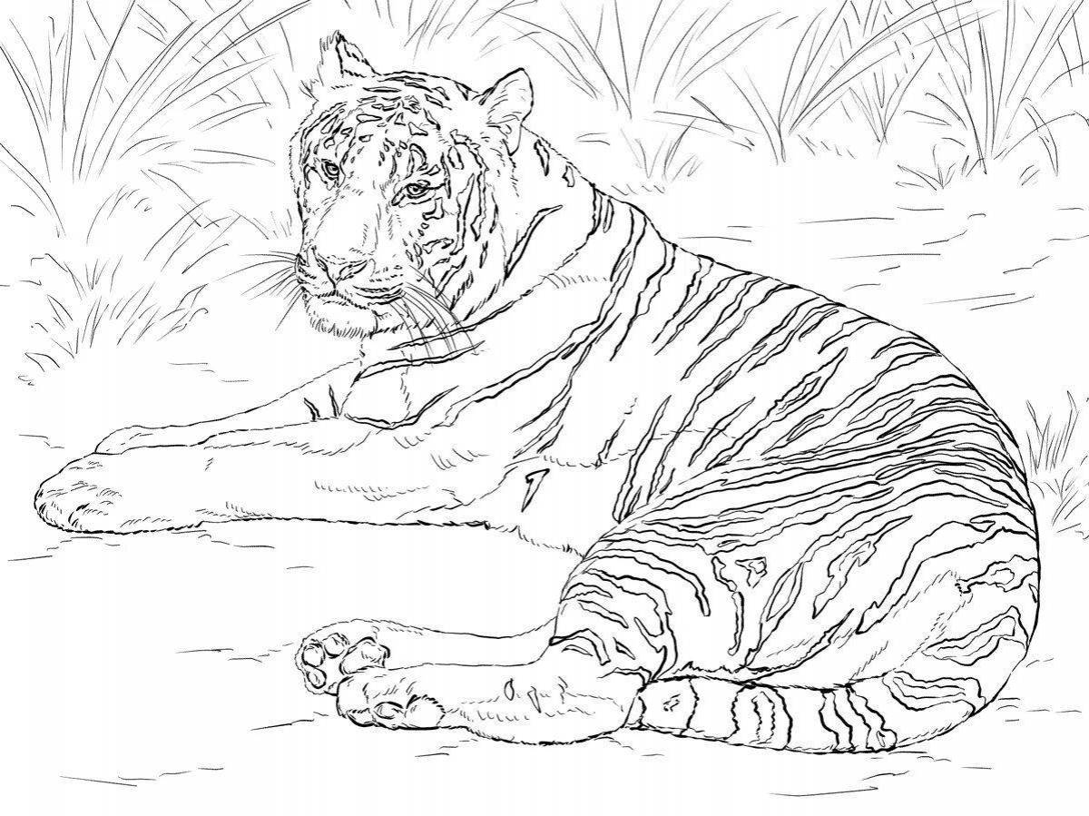 Playful tiger coloring book for girls
