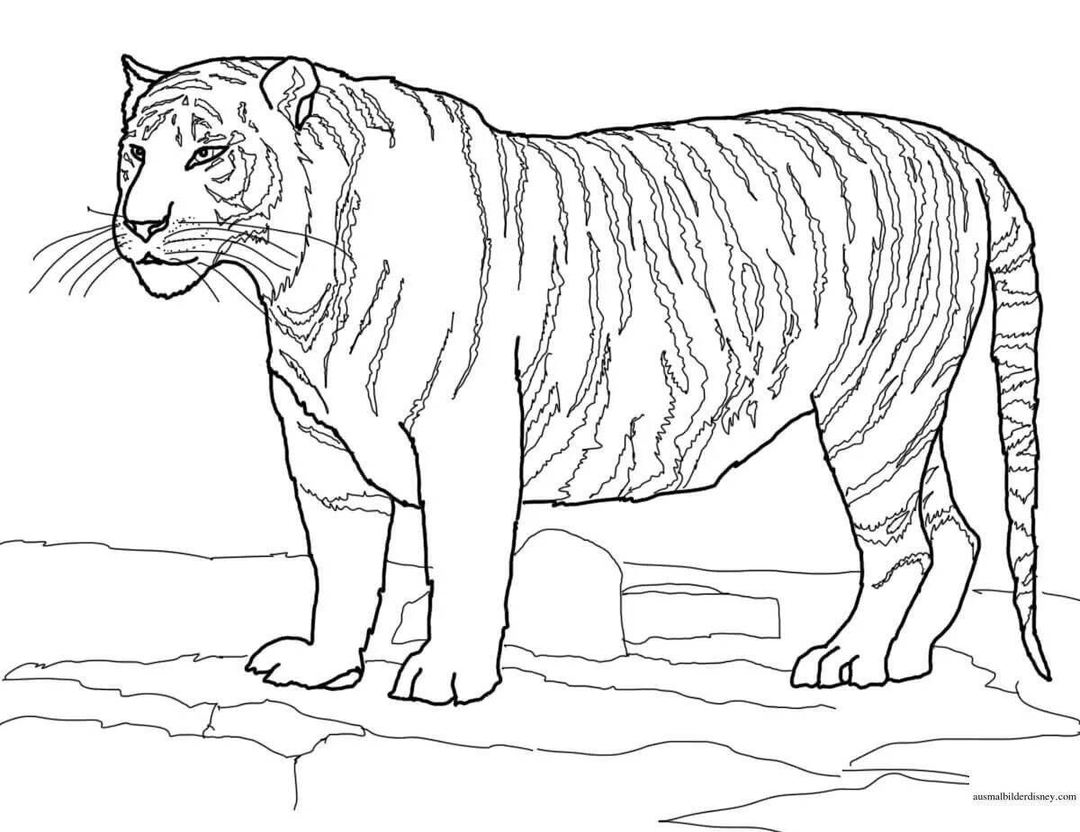 Dazzling tiger coloring book for girls