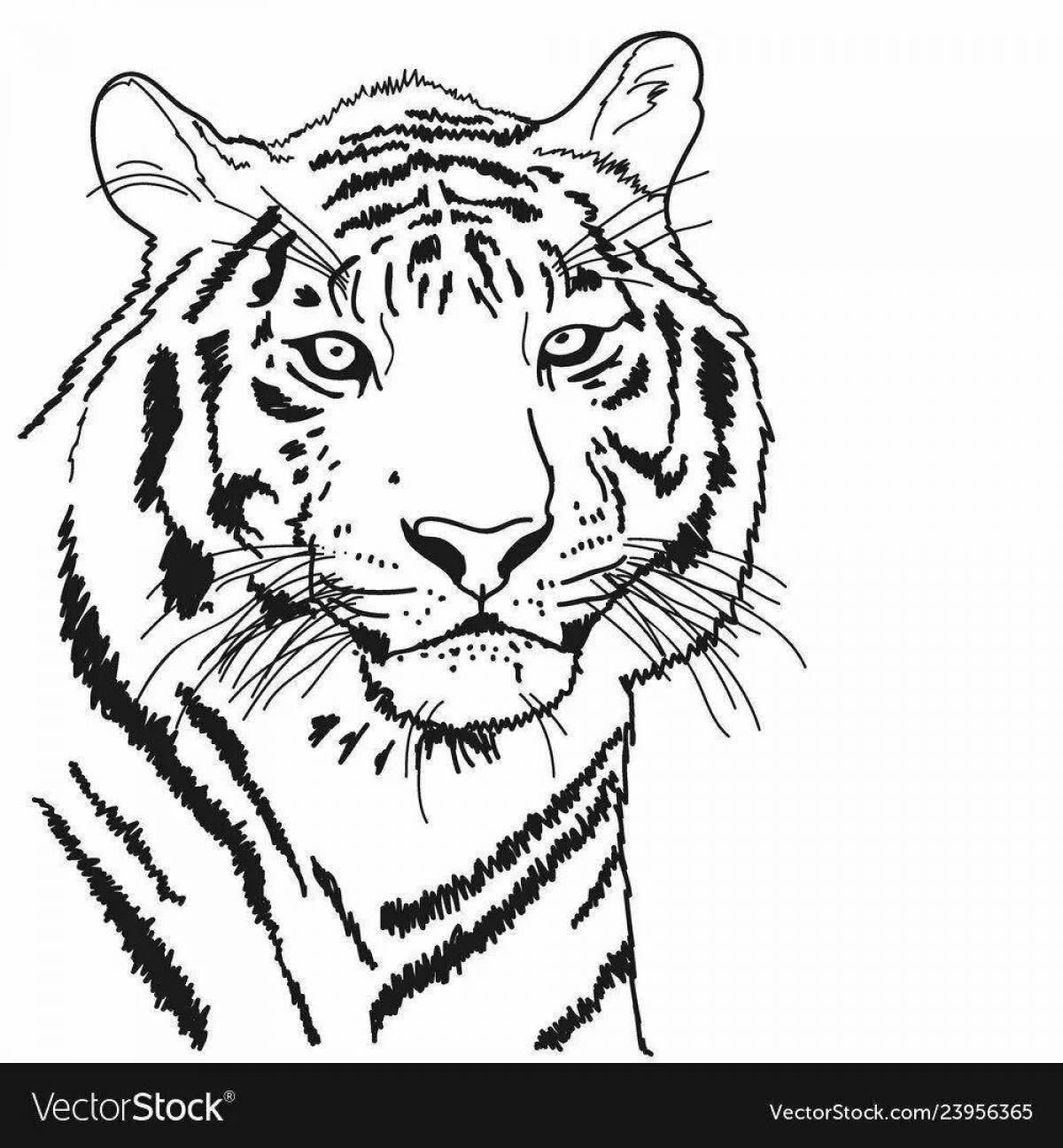 Fun coloring tiger for girls