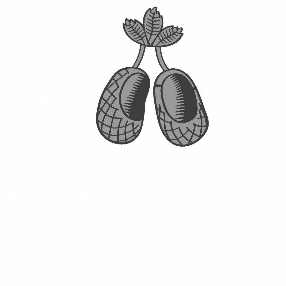 Fairy sandals coloring book for children