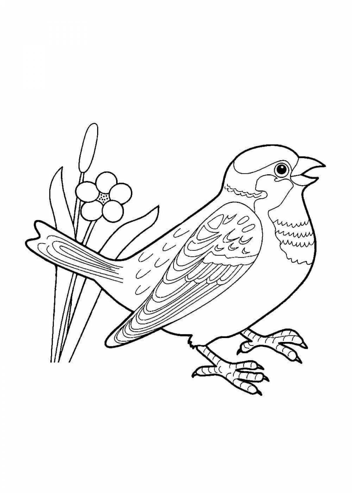 Coloring book exquisite wintering sparrow