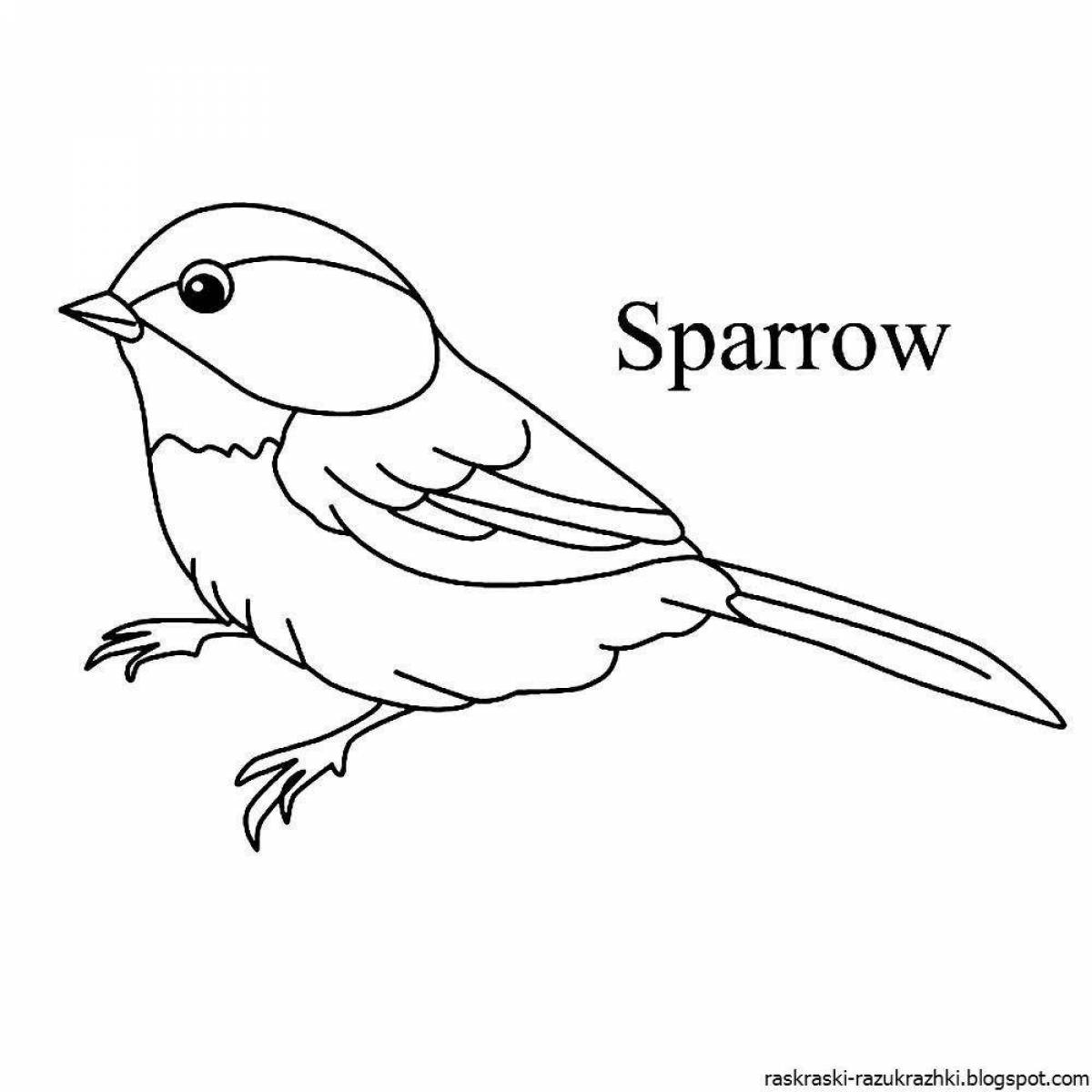 Coloring page glorious wintering sparrow
