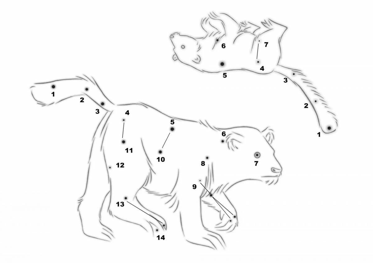 Colorfully decorated Ursa Major Coloring Page