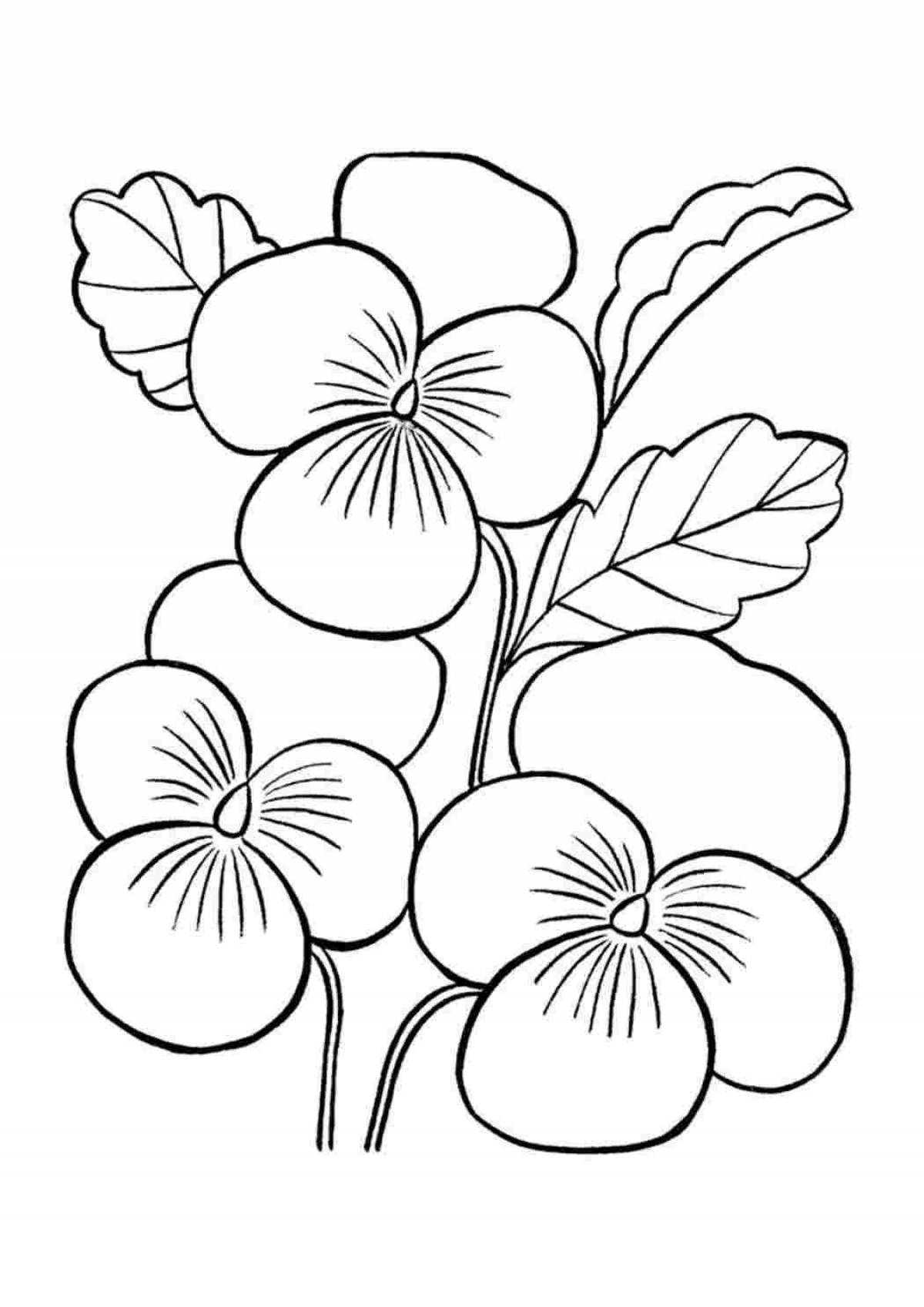 Bright purple houseplants coloring page