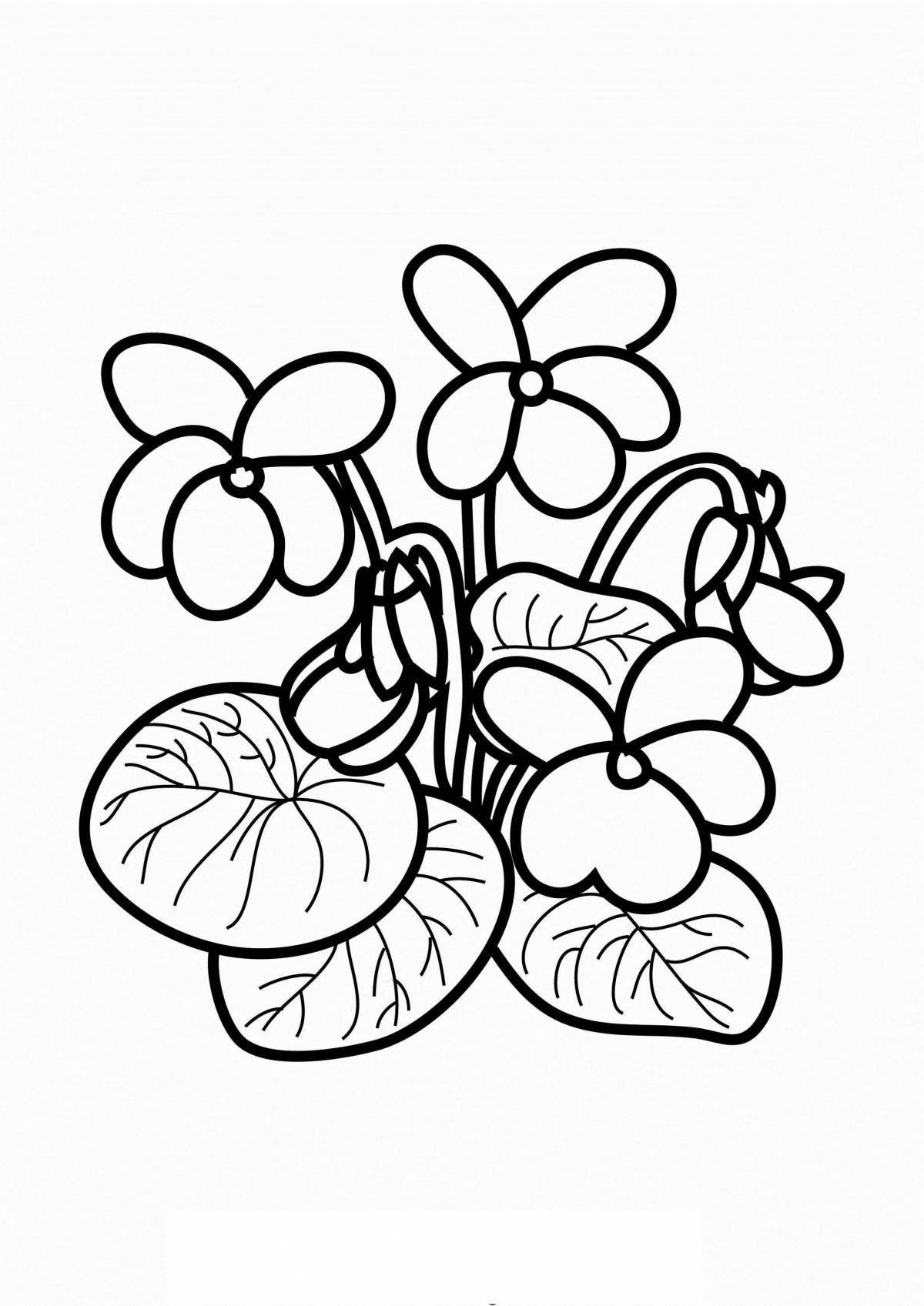 Coloring page lovely purple houseplants