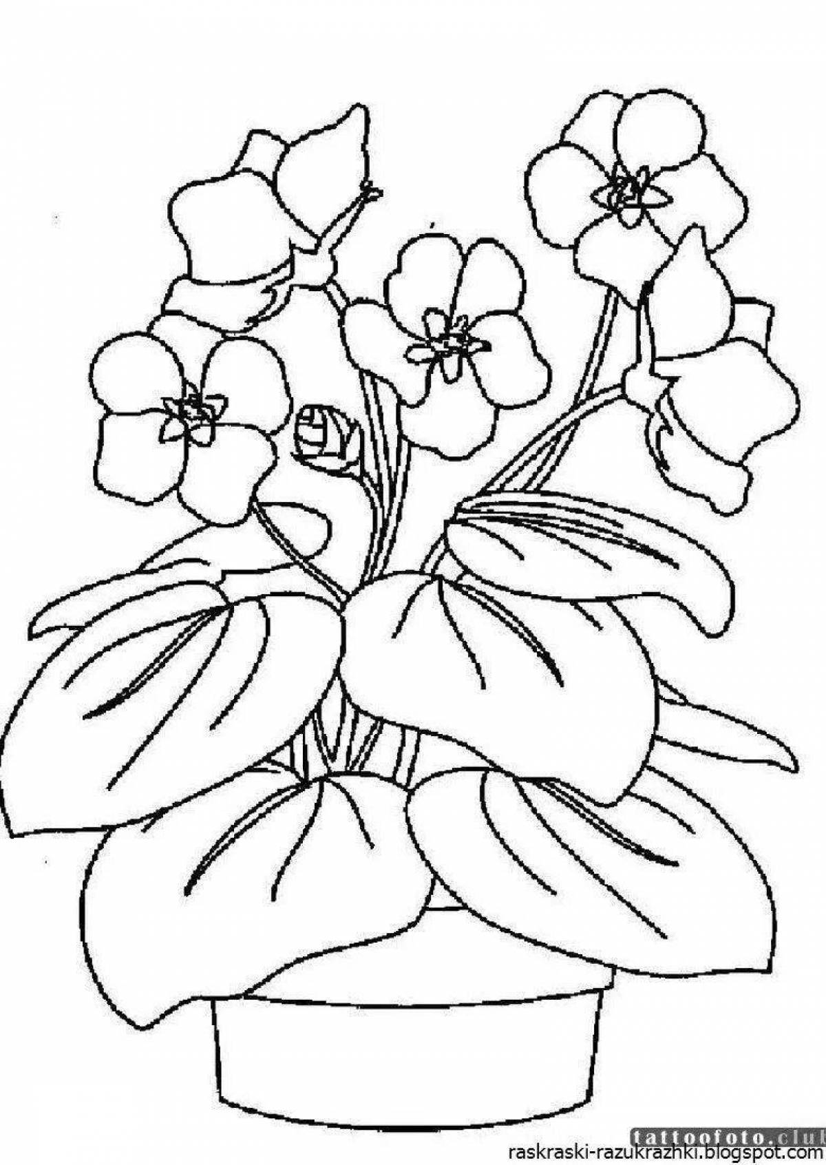 Blissful purple houseplants coloring page