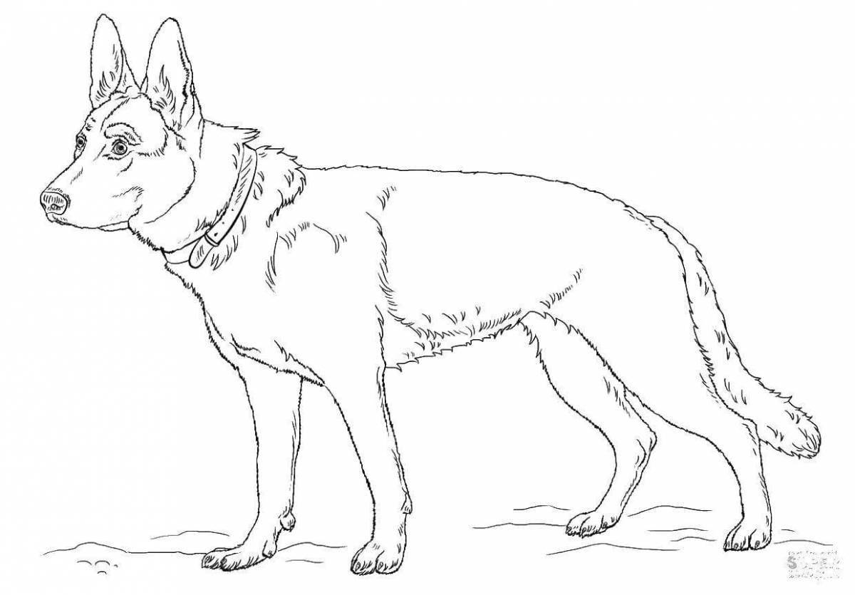 Coloring book playful German Shepherd puppy