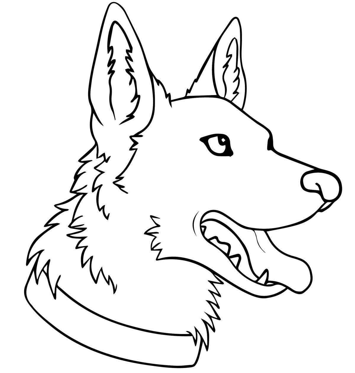 Colouring fluffy German Shepherd puppy