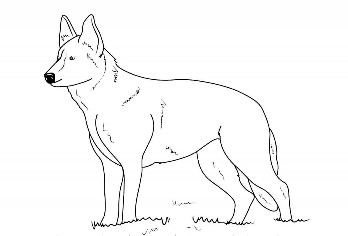 Great Shepherd Puppy Live Coloring