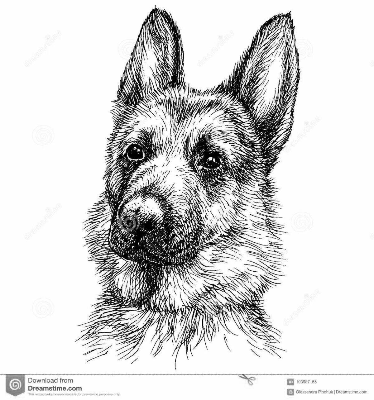Great Shepherd Puppy Coloring Page