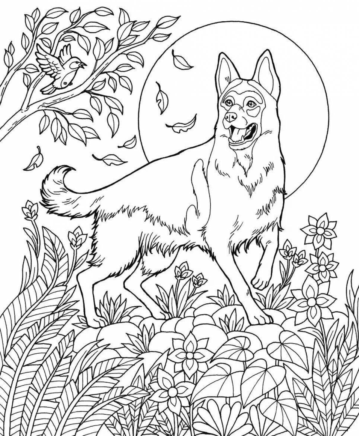 Coloring book of a joyful German Shepherd puppy
