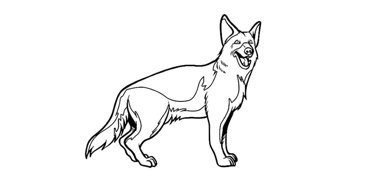 Colouring German shepherd puppy with an accommodating character