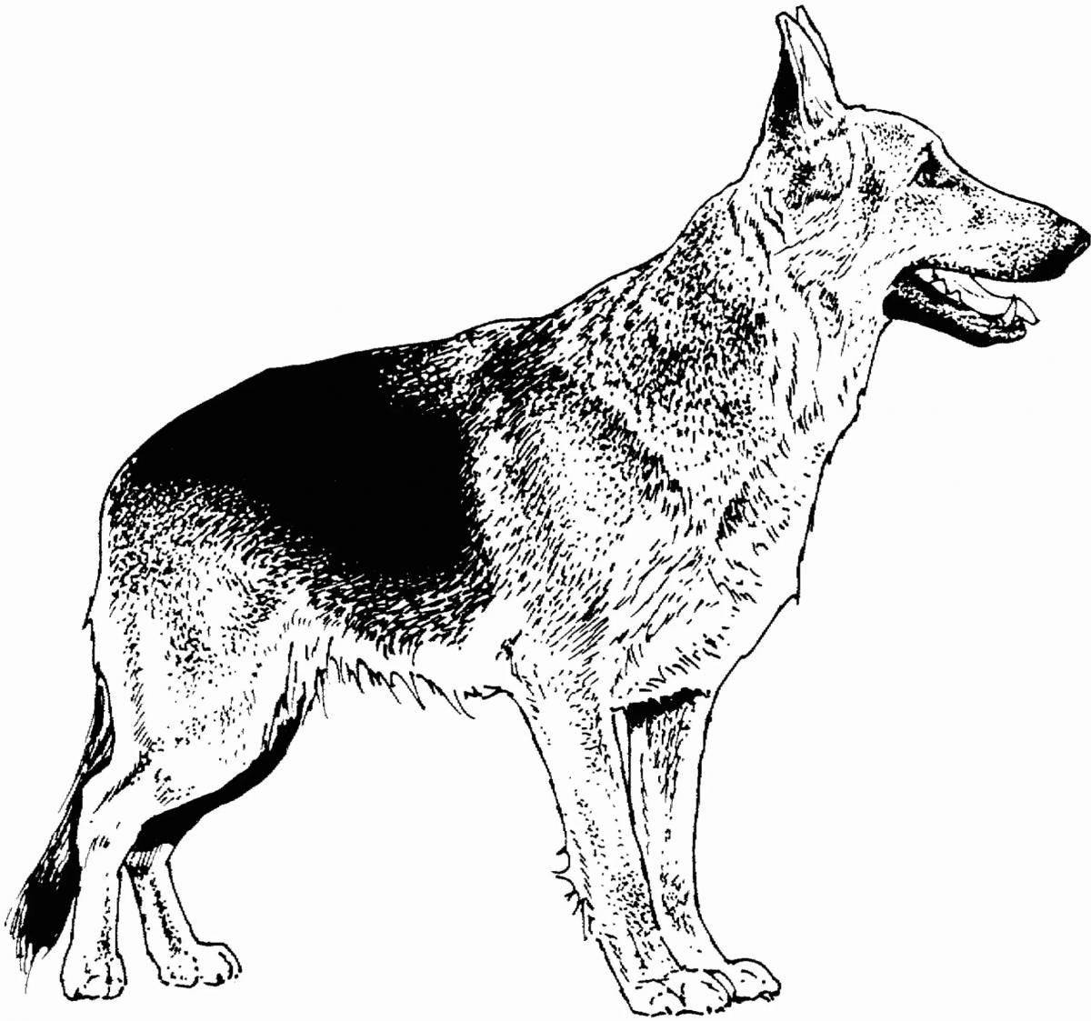 Coloring book smart German Shepherd puppy