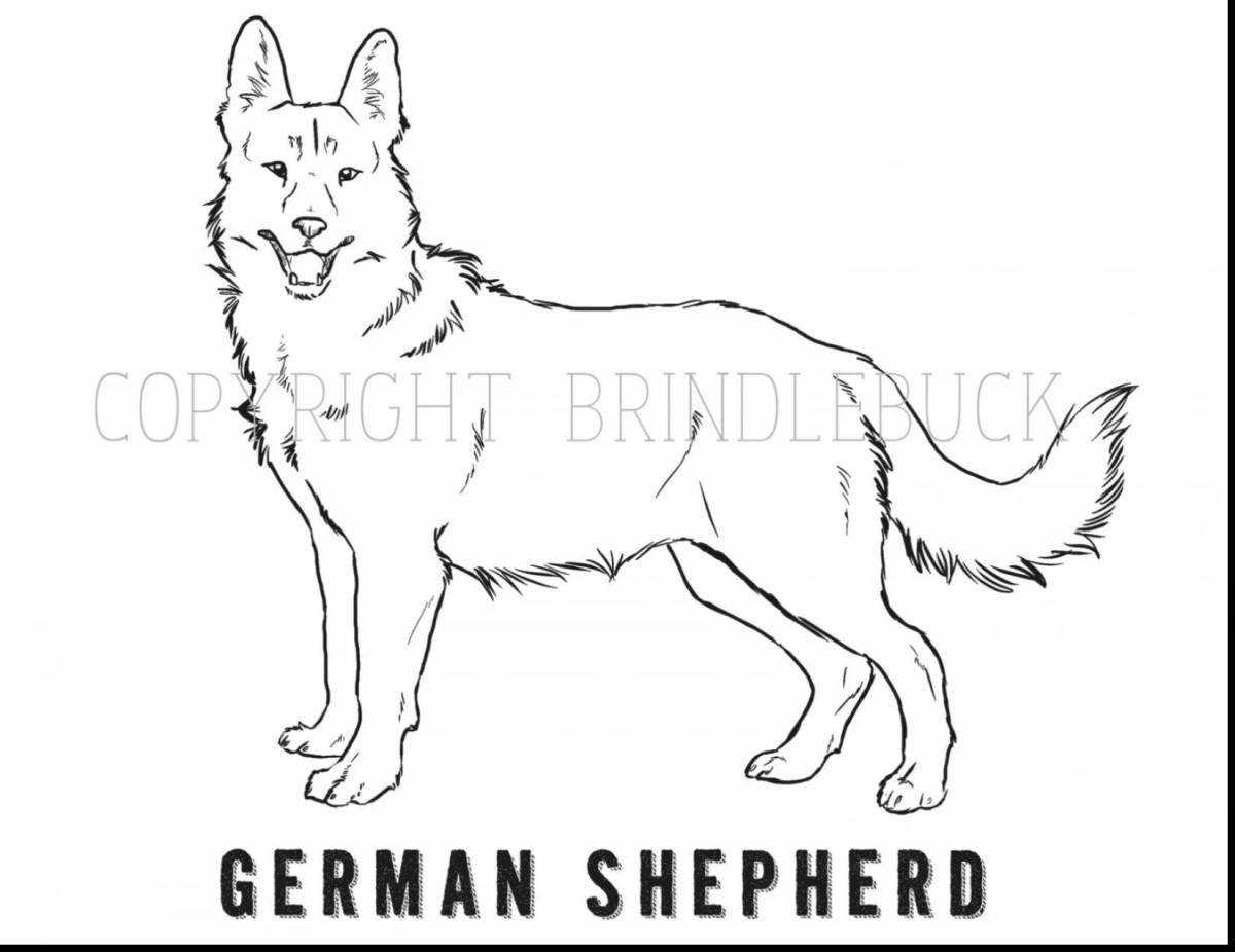 Coloring page affectionate German shepherd puppy