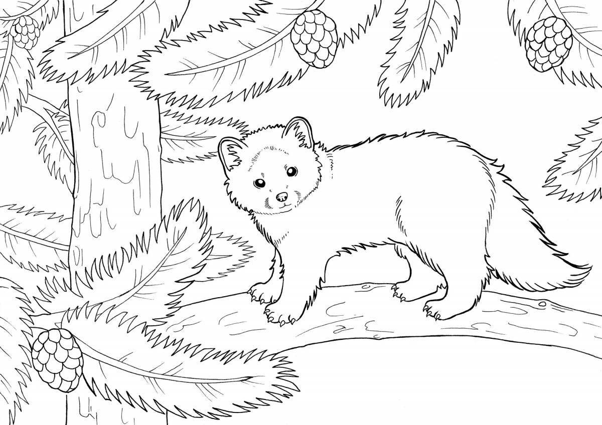 Fabulous taiga coloring book for kids