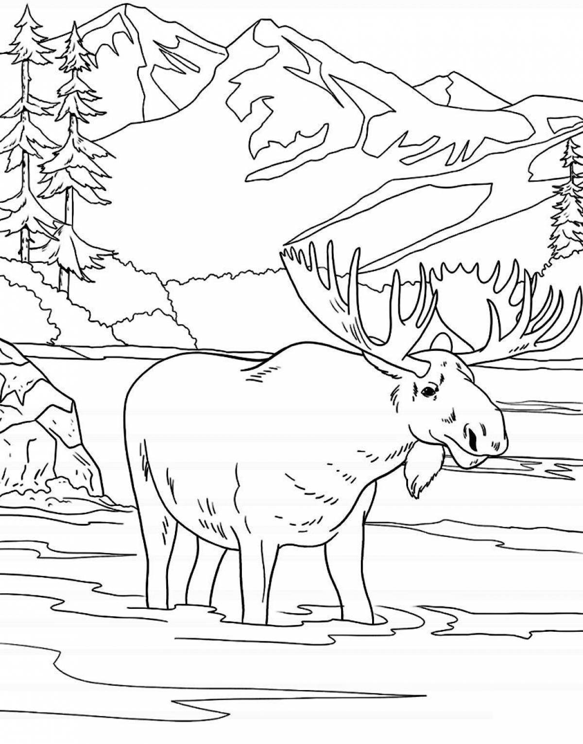Amazing taiga coloring book for kids
