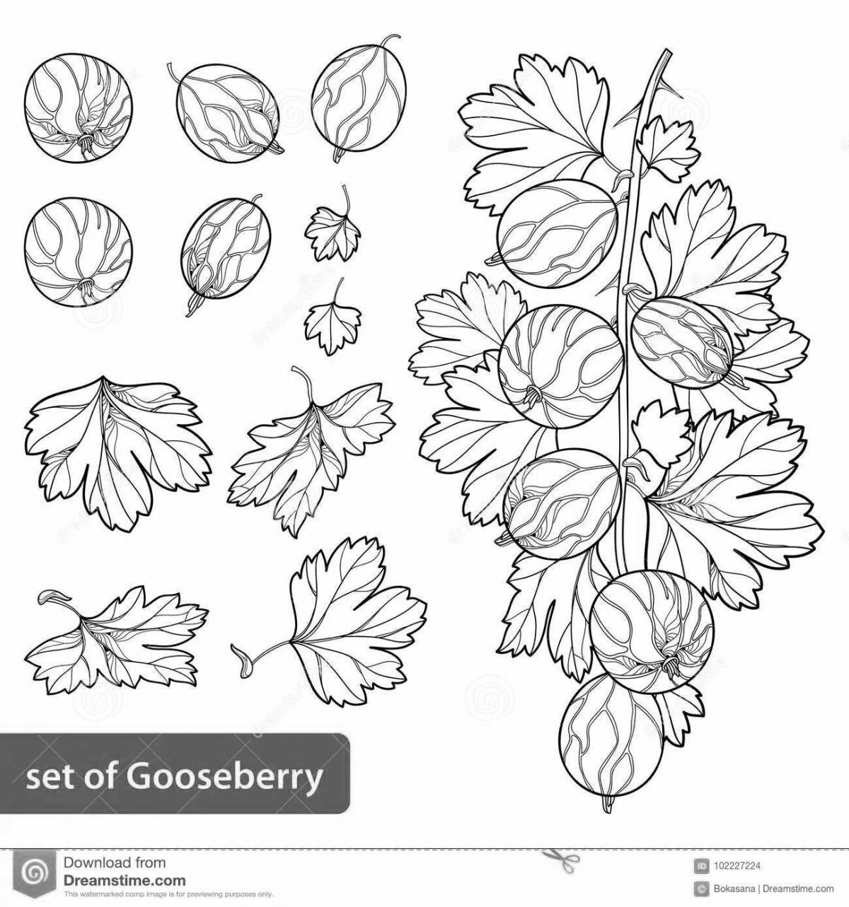 Fun gooseberry coloring book for kids